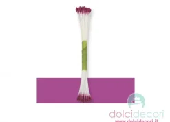 Pistilli fiori viola
