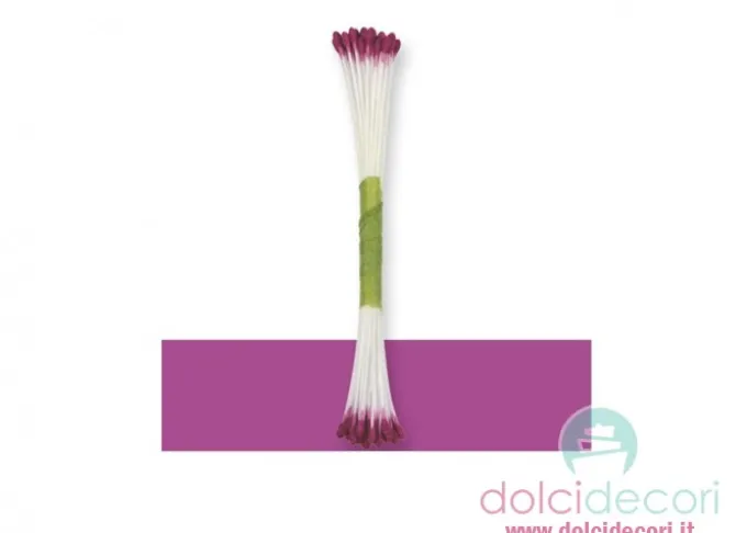 Pistilli fiori viola