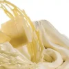 Preparato per gelato Cioccolato Bianco