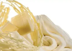 Preparato per gelato Cioccolato Bianco