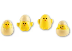 Pulcini uovo cioccolato