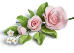 Ramo campanula rosa