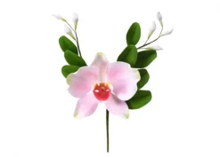 Ramo orchidea Sfumata Rosa