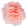 Rosa Maxi Gigante