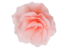 Rosa Maxi Gigante