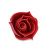 Rosa Rossa Bocciolo