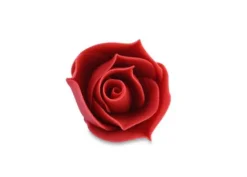 Rosa Rossa Bocciolo