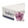 Rose Glicine Piccole