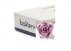 Rose Glicine Piccole