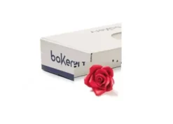 Rose Rosse Piccole
