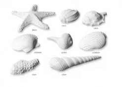 Set/8 Conchiglie bianche