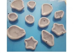 Stampi Conchiglie Mare