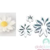 Stampi fiori daisy