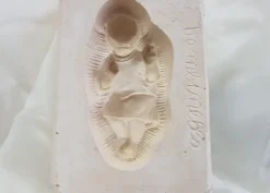 Stampi Frutta Martorana Gesù Bambino