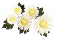 Stampi Margheritine