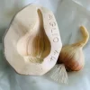 Stampo frutta martorana Aglio