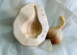 Stampo frutta martorana Aglio