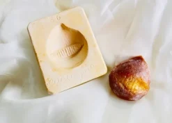 Stampo frutta martorana castagna