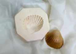 Stampo frutta martorana Conchiglia