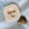 Stampo frutta martorana Fungo