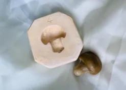 Stampo frutta martorana Fungo