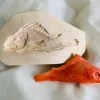 Stampo frutta martorana Pesce