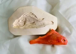 Stampo frutta martorana Pesce