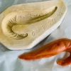 Stampo gesso Gambero