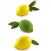 Stampo Limoni e Lime Semifreddo