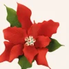 Stella di Natale Grande
