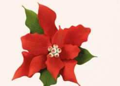 Stella di Natale Grande