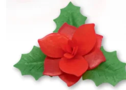 Stella Natale Ostia