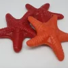 Stelle marine