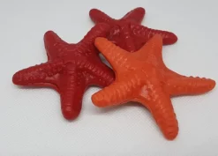Stelle marine