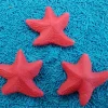 Stelle marine Corallo