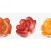 Super Rosa Classica