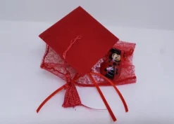 Topper Laurea Coccinella