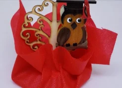 Topper Laurea Gufo Albero