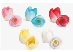 Tulipano Assortito Zucchero