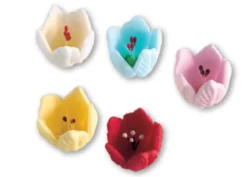 Tulipano Pastigliaggio