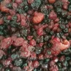 Tutta Frutta Frutti di Bosco Crispo