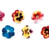 Viole in zucchero